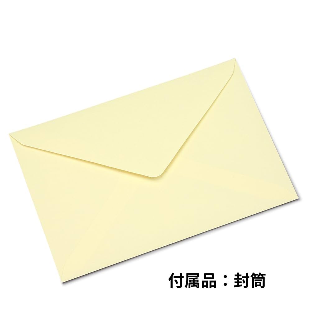 スケキヨさま専用品】ナチュラル台紙と台紙カバー✖️2 スケキヨ