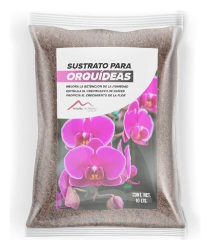 Mejores comprativas On-line Precio de orquídea natural los 10 mejores. 2
