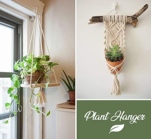 Image of ecofynd 200 Meters Cotton Cord | Natural White Dori | Rope for Handmade Plant Hanger | Thread for Wall Hanging Craft Making
