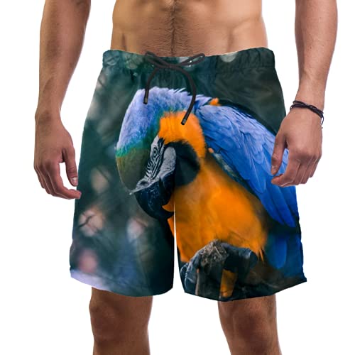 Short de bain homme avec doublure en maille séchage rapide multicolore XL