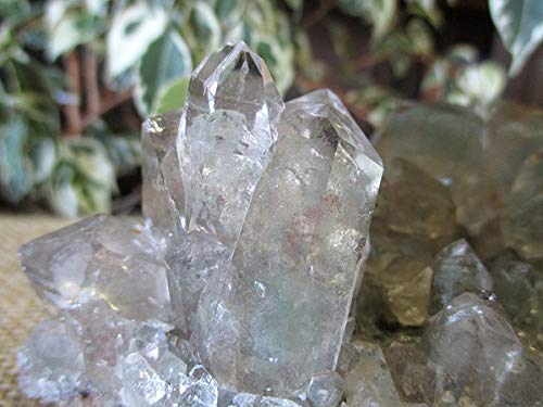 Amazon.co.jp: ガーデンクォーツ 水晶 クラスター 原石 販売 | 天然石