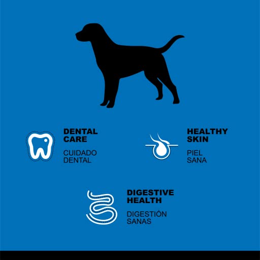 Hantu - Pienso Hipoalergénico para Perros Adultos | 61% Salmón | Sin Gluten | Cuidado Dental | Piel Saludable | Salud Digestiva | para Todas Las Razas, 12 Kg
