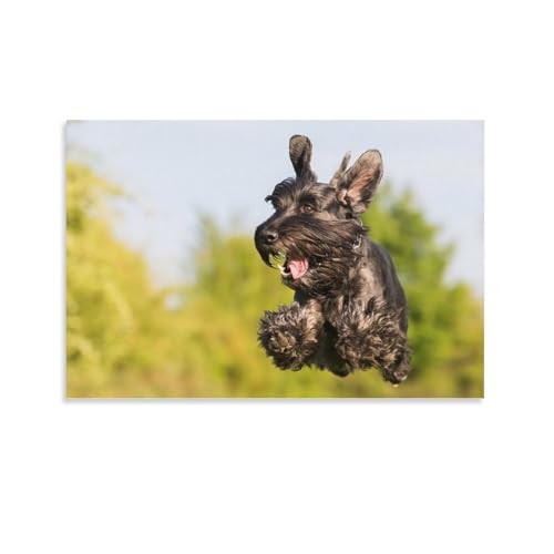Toile Schnauzer haut de gamme 50x75 cm décoration murale artistique