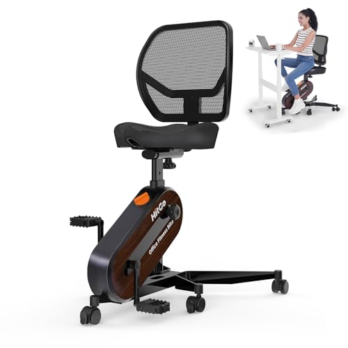 HitGo Exercise Bike with Fitness Chair