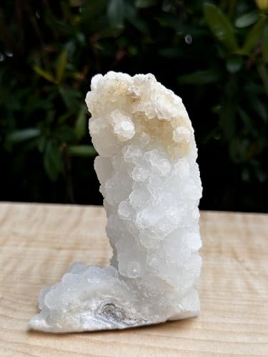 Image of GAF TREASURES Chalcedony & Crystal Quartz Stalactite 3-8 inch, Natural Quartz on Chalcedony Stalactite Specimen (0.5-0.75 lb)