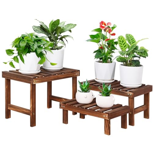 COOGOU 3 Tiered Small Plant Stands Shelf Indoor Outdoor,Wood Flower Pot Stand Holders Rack,Freestanding Corner Ladder Shelves for Plants Succulent Cactus,on Patio,Desktop,Window