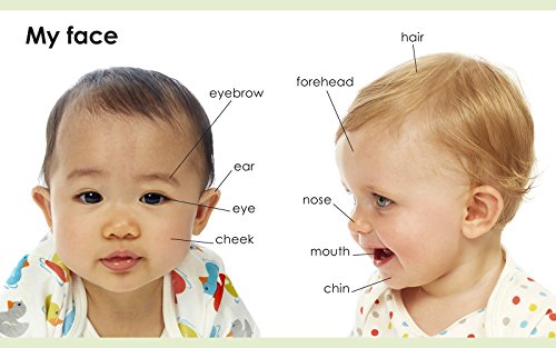 My First Body (My First Board Books) - Image 5