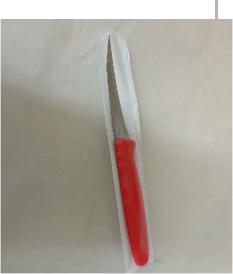 Thaisan7 ART CARVING KNIFE STAINLESS CRAFT Gifts TOOL CUT FRUIT VEGETABLE FOOD SOAP Traditional Food decoration maker (pack of 10)