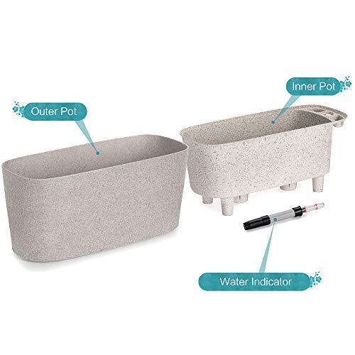 Amazing Creation Windowsill Rectangular Self Watering Herb Garden, Plastic Planter Pot For Herbs, Greens, Flowers, House Plants And Succulents, Indoor/Outdoor Flower Pot (Stone Color) #TOP1