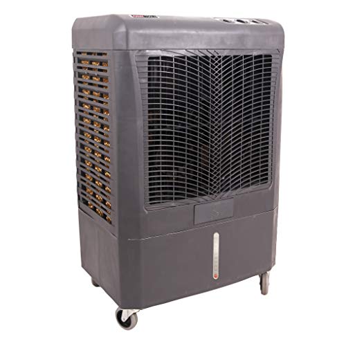 OEMTOOLS 23976 3-Speed Evaporative Cooler Area up to 950 Square Feet Oscillates to Provide Max Coverage & Air Flow Connect Directly to Hose for Always-on Cooling, 3100 CFM, Gray