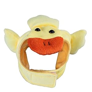 Pet Hat Cartoon Leuke Pet Hat Lucky Leuke Hond Teddy Huisdier Aankleden Pruik Pruik Kat Hoofddeksel Hoed Pet Hoofdtooi…