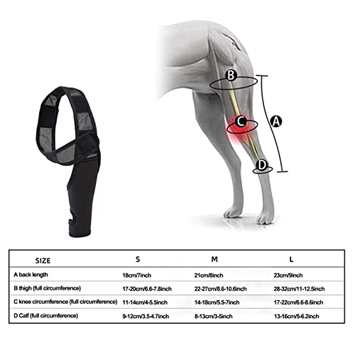 Teksome Hüftbandage für Hunde – Hunde-Kniestütze für schnellere Genesung, Hüftgelenk-Bandage für Kreuzbandrisse, Patella-Luxation, Arthrose, Limping von Gelenkschmerzen, Hüftdysplasie