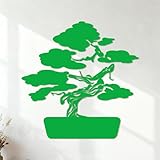 Bonsaï Asie Arbre Naturel Japon Peintures murales et stickers muraux en vinyle 54x54cm Décoration de magasin Vert