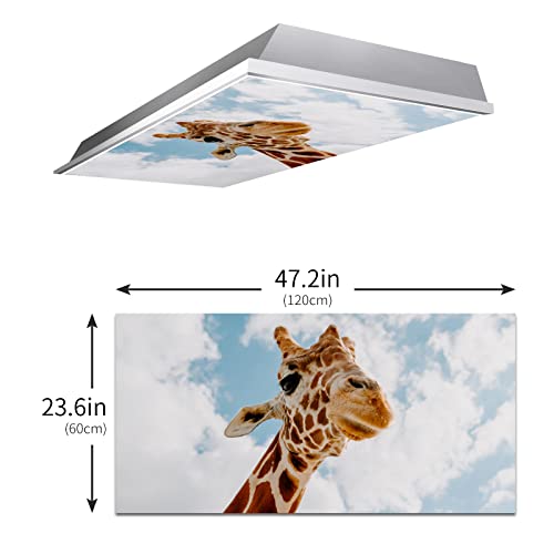 Image of Fluorescent Light Covers for Classroom Ceiling Lights - 2x4ft Backlit Film for Fluorescent Fixtures, Easy to Install - School, Office, Sensory, Improve Focus, Eliminate Headaches - Giraffe