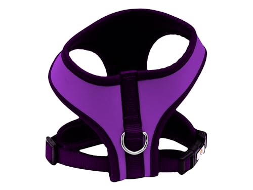 CyP Brands - Real Valladolid, Harness, Dog Collars, Pet Accessories, Purple, Official Product, berry - Image 2