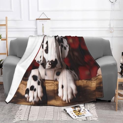 Couverture en flanelle 203x152 cm super douce et légère pour canapé