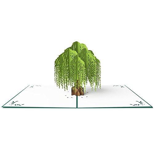 Lovepop-Everyday-10-Pack-3D-popup-greeting-card-gifts