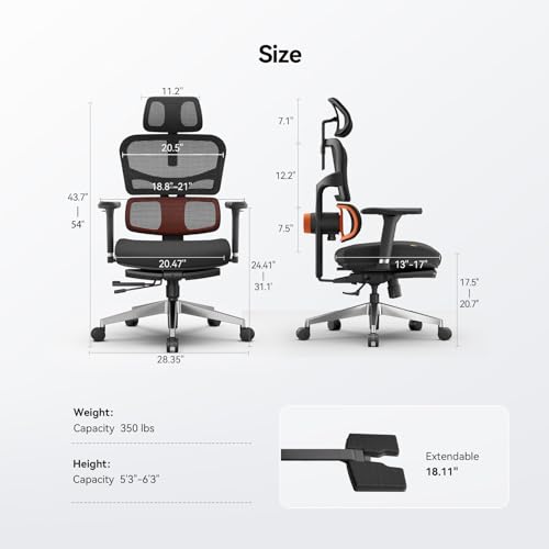 ergonomic chair product info and reviews