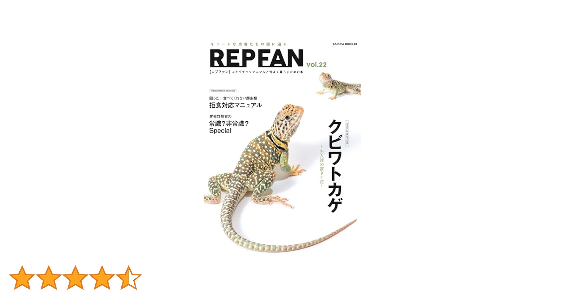 REP FAN レプファン vol.22 (SAKURA MOOK) | 笠倉出版社 |本
