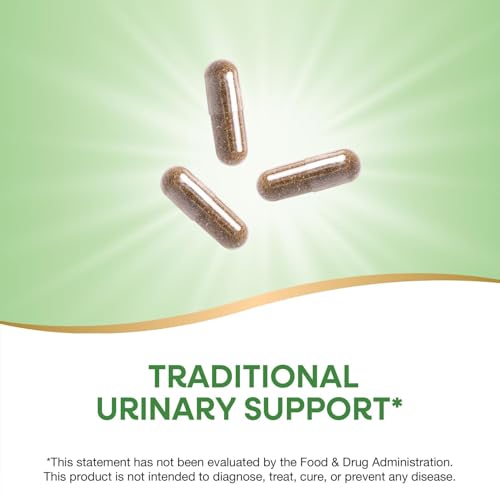 Nature's Way Uva Ursi Leaves , 480 mg -100 Capsules