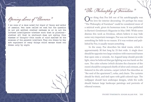 Edgar Allan Poe: The Master of the Macabre (Pocket Portraits) - Image 5