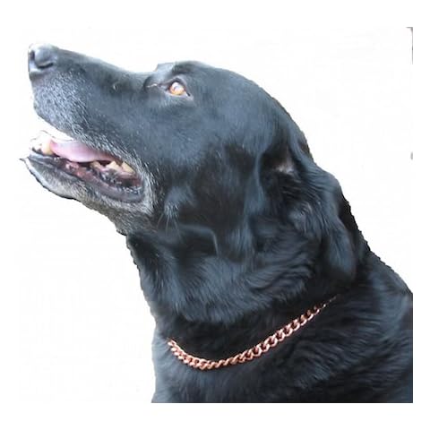 PROEXL Copper Magnetic Dog Collar Cover