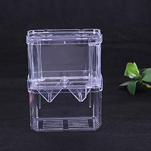Aquarium Acryl vis tank fokken isolatie box aquarium broederij incubator houder aquarium accessoires visbenodigdheden…