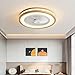 LED Holz Deckenventilator Mit Lampe Moderne Invisible Fan Deckenleuchte Ultra-Leise Deckenventilator Mit Beleuchtung Esszimmer Schlafzimmer Kinderzimmer Dimmbar Deckenlampe Mit Fernbedienung Ø50cm (B)