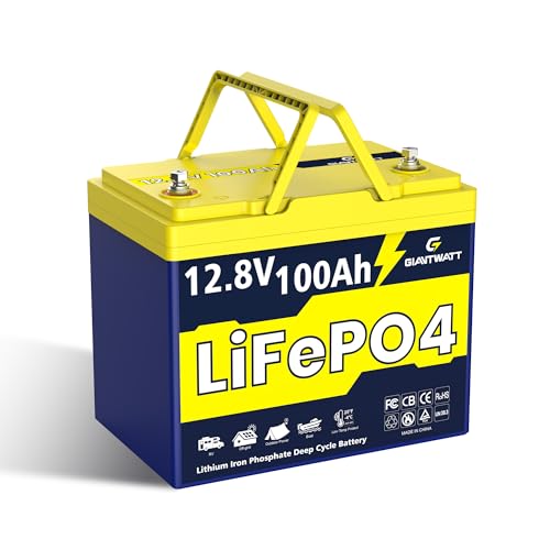 12V 100Ah LiFePO4 Battery with Low-Temp Protection, Lithium Battery Built in 100A BMS & Grade A Cells, Group 24, IP67, 1280Wh, 15000 Deep Cycle for RV, Trolling Motor, Marine, Home, Solar System