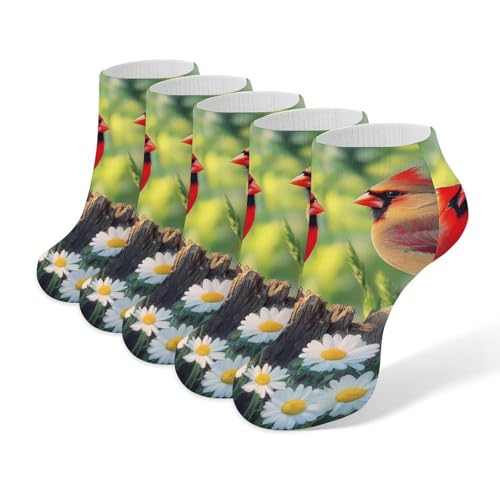 Forests Birds Cardinal Bird - Calcetines tobilleros casuales de corte bajo, 5 pares, calcetines deportivos
