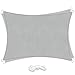 LIAOYI Voile d'ombrage Rectangulaire Polyester Toile d'ombrage Imperméable Anti UV pour Terrasse Camping Extérieur Jardin(2 x 3 m Gris clair)