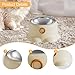IEUDNS Tilted Cat Feeder Bowl Feeding Dish Home Indoor Outdoor Backyard Removable Stainless Steel Bowl Food Dispenser for Puppy Pets, Vanilla Brown