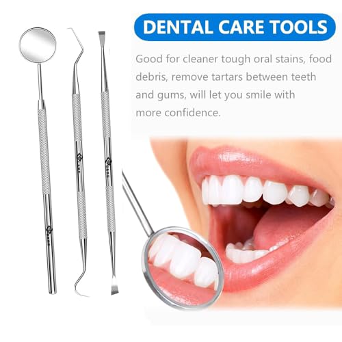 YSCARE Zahnpflege Set Zahnsteinentferner Zahnreiniger Doppelkopf Dental 3er Zahnreinigung Aus Edelstahl Haustierfreundlich