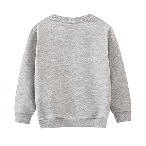 Boys Girls Crewneck Sweatshirt Soft Fleece Sweatshirts Long Sleeve Plain Pullover Winter Warm Tops for Kids2