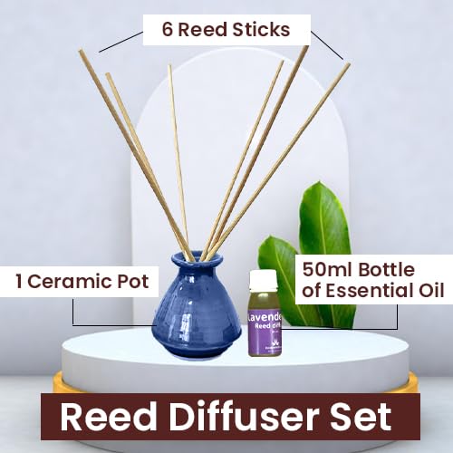 Reed Diffuser con Aceite de Lavanda 50ml y 6 Varillas miniatura 3