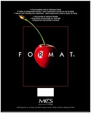 MCS Plastic Format Frame for a 8.5x11" Photograph, Color; White