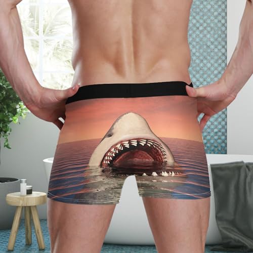 visesunny Men's Boxer Briefs Soft and Breathable Underwear with ComfortFlex Waistband Funny Pattern Underpants3