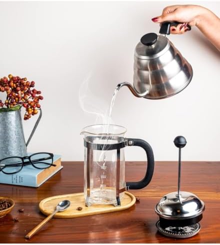 Vintage French Press Coffee Maker 600ml Borosilicate Glass Silver - 4