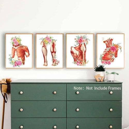 Image of TANXM Unframed Muscle Anatomy Canvas Wall Art Set of 6 | Watercolor Human Physiology Medical Decor for Clinic Study Room, Educational Prints, 8x10 Inch