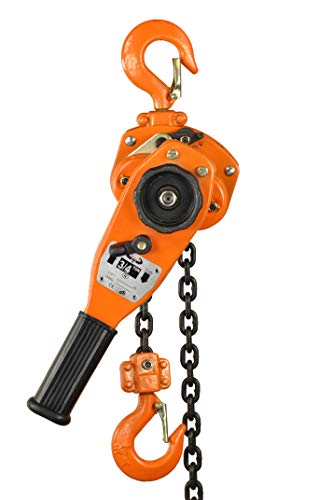 Pro-Lift-Werkzeuge - Polipasto de cadena con brazo (750 kg, altura de elevación de 1,5 m, capacidad de carga de 750 kg)