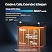 RENOGY REGO Lithium Battery 12V 100AH LiFePO4 Battery with DualHeat Self-Heating 100A BMS 9.02x8.39x5.43 Group 22NF Deep Cycle Batteries for Icefishing, Trolling Motor, RV, Off Grid Solar System Black