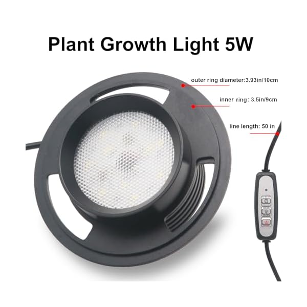 Desktop-Glass-Terrarium-with-Grow-Light-H78-D67-for-Succulent-Moss-Miniature-Gardening-Landscape-Betta-Fish-Tank-Indoor-Plant-Growth-Office-Home-Decoration-Plant-Lovers-Gifts Desktop-Glass-Terrarium-with-Grow-Light-H78-D67-for-Succulent-Moss-Miniature-Gardening-Landscape-Betta-Fish-Tank-Indoor-Plant-Growth-Office-Home-Decoration-Plant-Lovers-Gifts