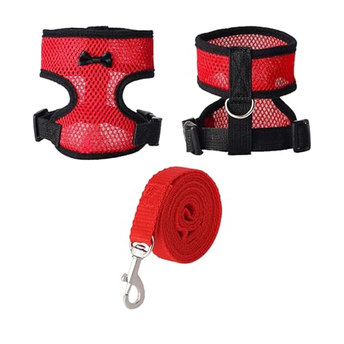 _bNn[lXƃ[V - `L[VA`Ln[lXA |{̃xXgn[lXƉKȃwxXgʋCbV`Lg[jOn[lXƃAq̏ȃybg