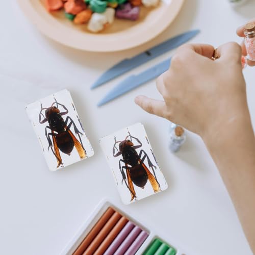 Pisapapeles de resina con insectos CLISPEED, pack de 6 especímenes transparentes para escritorio 4