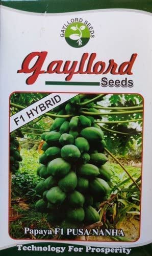 STOKIYA gayllord pusa nanha /dwarf papaya hybrid 2gram seed (B0BR47BC1H) Amazon Price History, Amazon Price Tracker