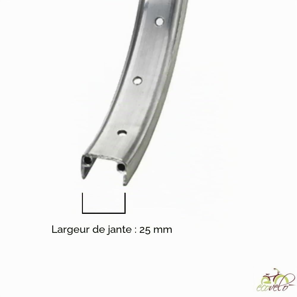 ECOVELO Roue Vélo BMX Argenté 20" x 1,75 - Roue Libre 16 dents - Frein à Bordure