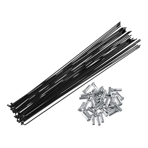 Rayons de vélo 14G J Bend de rechange pour réparer une roue voilée ou un rayon cassé