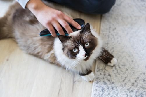 Trixie Weiche Bürste