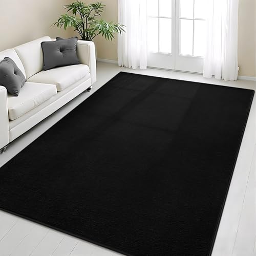 Vasofe Black Area Rugs for Living Room Bedroom, 4x6 Modern