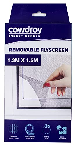 window screens insect